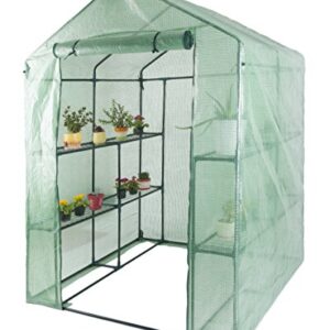 GOJOOASIS Walk in Portable Garden Greenhouse Mini Plants Shed Hot House with 3 Tiers