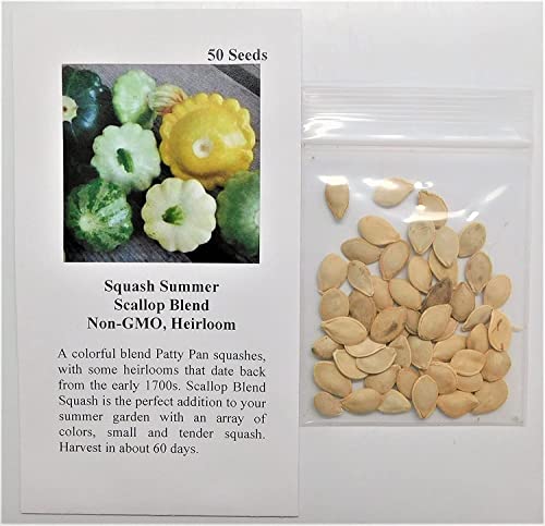 David's Garden Seeds Squash Summer Scallop Blend FBA-00050 (Multi) 25 Non-GMO Seeds