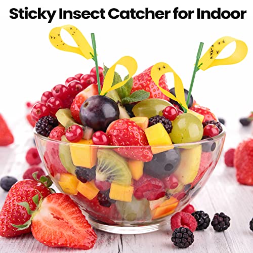 150 Pack Sticky Houseplant Traps Stakes Yellow Insect Trap Fungus Gnat Sticky Trap for Indoor Outdoor Garden Houseplant Fungus Gnat Fruit Flies Mosquito