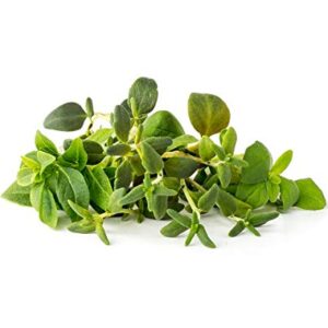 Click and Grow Italian Herb Plant Pod Mix (3 Thyme, 3 Dwarf Basil, 3 Marjoram), 9-Pack