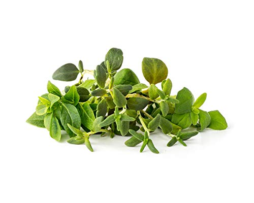 Click and Grow Italian Herb Plant Pod Mix (3 Thyme, 3 Dwarf Basil, 3 Marjoram), 9-Pack