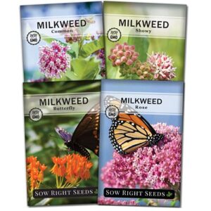 sow right seeds – milkweed seed collection; varieties included: butterfly, common, and showy milkweed, attracts monarch and other butterflies to your garden; non-gmo heirloom seeds;