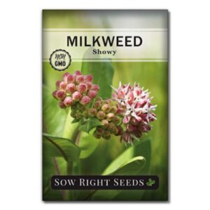 Sow Right Seeds - Milkweed Seed Collection; Varieties Included: Butterfly, Common, and Showy Milkweed, Attracts Monarch and Other Butterflies to Your Garden; Non-GMO Heirloom Seeds;