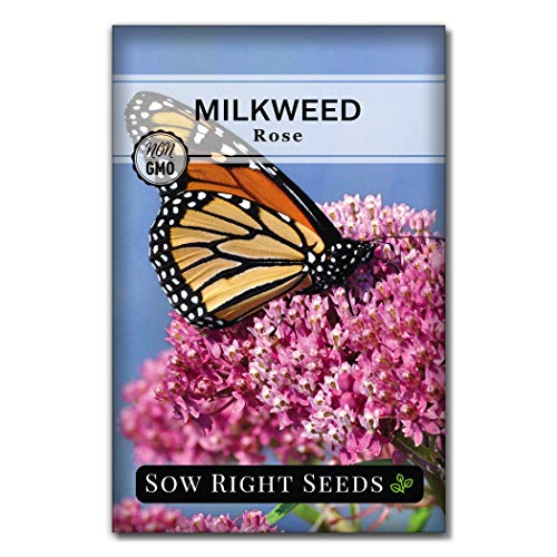 Sow Right Seeds - Milkweed Seed Collection; Varieties Included: Butterfly, Common, and Showy Milkweed, Attracts Monarch and Other Butterflies to Your Garden; Non-GMO Heirloom Seeds;