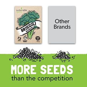 Vegetable Seeds for Planting Home Garden - 13 Variety Seed Packets - Heirloom Vegetables - Bell Pepper Seeds, Zucchini Seeds, Kale Seeds, Cucumber Seeds, Peas Seeds & More - Veggie Garden Starter Kit