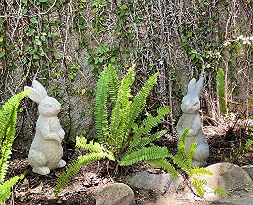 Elly Décor 14 Inch Tall Standing Sculpture for Your Patio & Yard, Outdoor Lawn décor, Cute Ceramic Figurine Garden Rabbit Bunny Statue, Gray Cement