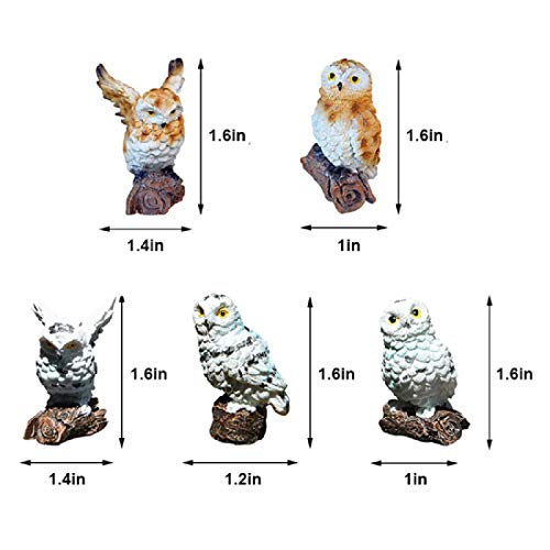 5 Pieces Owls Fairy Garden Miniature Ornaments Mini Animals Resin Figurines for Moss Landscape Bonsai Crafts Home Decor