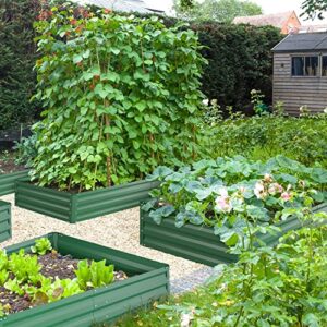 Metal Raised Garden Bed 6x3x1FT, Ohuhu Reinforced Galvanized Steel Raised Garden Boxes with Rustproof Baking Varnish, Heavy Duty Outdoor Planter Box Beds for Growing Vegetables Flowers Herbs Succulent