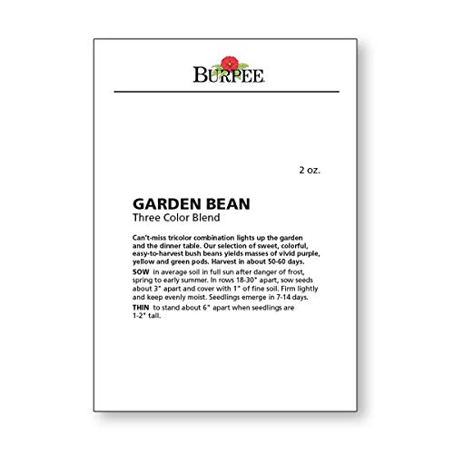 Burpee Three Color Blend Bush Bean Seeds 2 ounces of seed