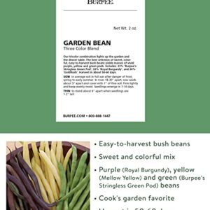 Burpee Three Color Blend Bush Bean Seeds 2 ounces of seed