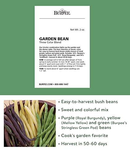 Burpee Three Color Blend Bush Bean Seeds 2 ounces of seed