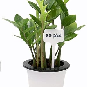 KINGLAKE GARDEN Large Plastic Plant Labels 6 Inch 50 Pack White Durable Extra Large T-Style Plastic Plant Labels for Flower beds,Plant pots