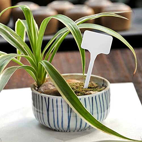 KINGLAKE GARDEN Large Plastic Plant Labels 6 Inch 50 Pack White Durable Extra Large T-Style Plastic Plant Labels for Flower beds,Plant pots