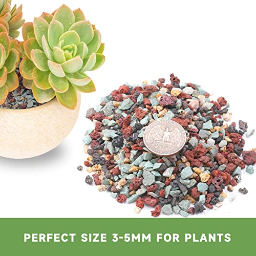 NOHOBE 2.5lb Succulent and Cactus Soil Bonsai Gritty Mix 1/8 inch - 1/4 inch Small Horticultural Lava Rocks for Fairy Garden, Terrarium, DIY Projects, Top Dressing Fast Draining Prevent Over Water