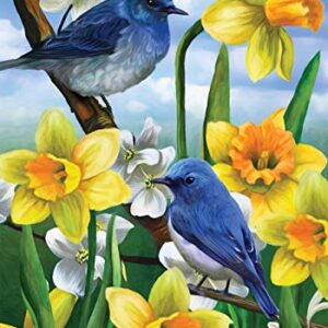 Briarwood Lane Bluebirds and Daffodils Spring House Flag Floral 28" x 40"