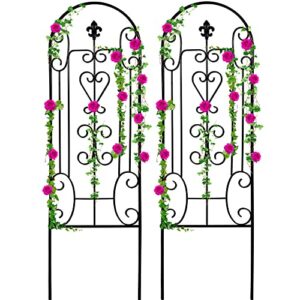 amagabeli 2 pack garden trellis for climbing plants 60″ x 18″ black iron potted support vines metal wire plant trellis for climbing vegetables flower patio roses cucumbers clematis pots supports gt05