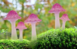 coonoe mini mushrooms for fairy garden, translucent fairy garden mushrooms with stakes for terrarium, potted plant, mini mushroom garden decor, crafted cute tiny fairy garden accessories