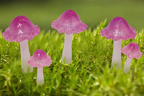 coonoe Mini Mushrooms for Fairy Garden, Translucent Fairy Garden Mushrooms with Stakes for Terrarium, Potted Plant, Mini Mushroom Garden Decor, Crafted Cute Tiny Fairy Garden Accessories