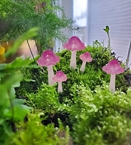 coonoe Mini Mushrooms for Fairy Garden, Translucent Fairy Garden Mushrooms with Stakes for Terrarium, Potted Plant, Mini Mushroom Garden Decor, Crafted Cute Tiny Fairy Garden Accessories