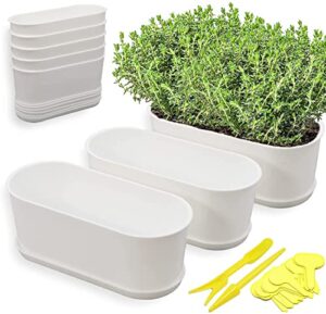 torfican 5 set window herb planter box rectangular,8.5×3.5 inch white plastic planters with multiple drainage holes and trays,indoor succulent cactus mint flower pot for windowsill,garden balcony