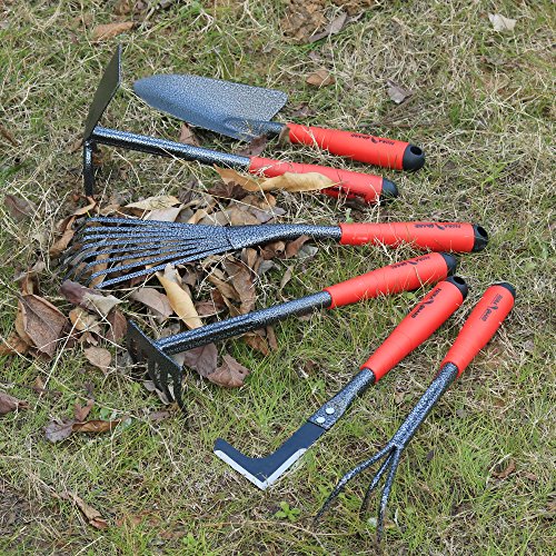 FLORA GUARD 6 Piece Garden Tool Sets - Including Trowel,5-Teeth rake,9-Teeth Leaf rake,Double Hoe 3 prongs, Cultivator, Weeder, Gardening Hand Tools with High Carbon Steel Heads