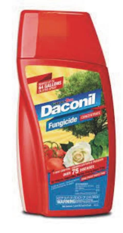 Daconil® Fungicide Concentrate 16 oz. - 100523634