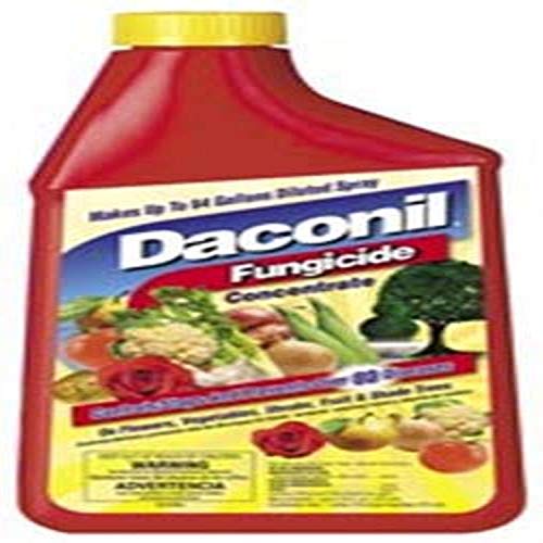 Daconil® Fungicide Concentrate 16 oz. - 100523634