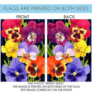 Toland Home Garden 1012552 Pansy Perfection Spring Flag 28x40 Inch Double Sided Spring Garden Flag for Outdoor House Flower Flag Yard Decoration