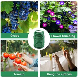 Decoroca Garden Flexible Wire Tie, Soft Twist Plant Ties 65.6' - Green Support Plant Vines for Supporting and Fixing Garden Planting Branches Vines & Stems and Organize Data Wire