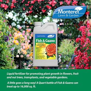 Monterey LG 7265 Fish & Guano Liquid Plant Fertilizer for Transplants and Flowers, 32 oz