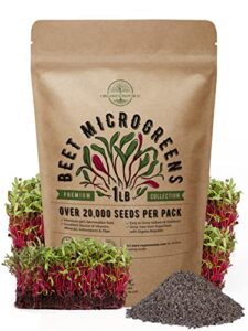 beet sprouting & microgreens seeds – non-gmo, heirloom sprout seeds kit in bulk 1lb resealable bag for planting & growing microgreens in soil, coconut coir, garden, aerogarden & hydroponic system.