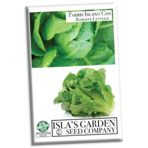 “parris island” romaine lettuce seeds for planting, 1000+ heirloom seeds per packet, (isla’s garden seeds), non gmo, botanical name: lactuca sativa, great home garden gift