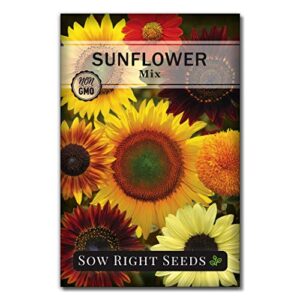 sow right seeds – large full-color packet of mixed sunflower seed to plant – non-gmo heirloom – instructions for planting – wonderful gardening gift (1)