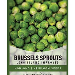 Brussels Sprouts Seeds for Planting - Long Island Improved Heirloom, Non-GMO Vegetable Variety- 800 mg Approx 225 Seeds Great for Summer, Fall, and Winter Gardens by Gardeners Basics