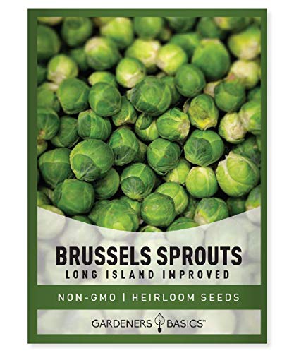Brussels Sprouts Seeds for Planting - Long Island Improved Heirloom, Non-GMO Vegetable Variety- 800 mg Approx 225 Seeds Great for Summer, Fall, and Winter Gardens by Gardeners Basics