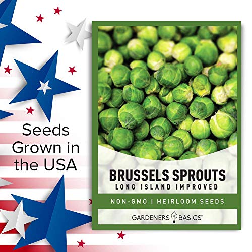 Brussels Sprouts Seeds for Planting - Long Island Improved Heirloom, Non-GMO Vegetable Variety- 800 mg Approx 225 Seeds Great for Summer, Fall, and Winter Gardens by Gardeners Basics