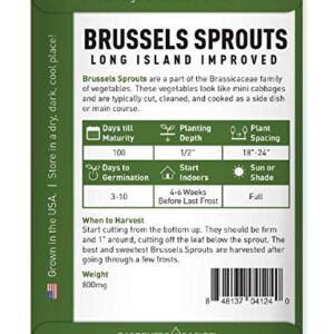 Brussels Sprouts Seeds for Planting - Long Island Improved Heirloom, Non-GMO Vegetable Variety- 800 mg Approx 225 Seeds Great for Summer, Fall, and Winter Gardens by Gardeners Basics