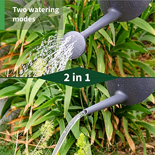 Decwxon Watering Can for Indoor Plants Garden Flower, Modern Outdoor Plants Small Watering Can,Detachable Long Spout Water can 1.8L 60oz 1/2 Gallon (Grey)