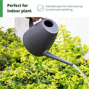 Decwxon Watering Can for Indoor Plants Garden Flower, Modern Outdoor Plants Small Watering Can,Detachable Long Spout Water can 1.8L 60oz 1/2 Gallon (Grey)