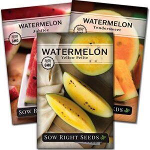sow right seeds – tri-color watermelon seed collection for planting – red jubilee, yellow petite and orange tendersweet watermelons. non-gmo heirloom seeds to plant a home vegetable garden