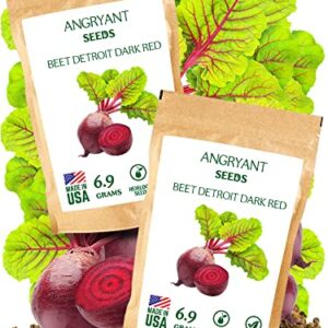 Heirloom Detroit Dark Red Beet Seeds for Planting - 1,200+ Non-GMO Seeds - 100% USA Grown - Suitable for Indoors and Outdoors Home Vegetable Garden - Easy to Grow Sweet Beets with Deep Crimson Flesh