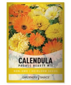 calendula seeds for planting (pacific beauty mix) – annual flower seeds great for cut flower gardens, herbal tea and for medicinal purposes, open pollinated flower seed by gardeners basics
