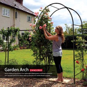 wedding arches for ceremony wedding arch 6.6ft circle backdrop stand round backdrop stand balloon arch stand circle balloon arch frame round balloon arch frame for party decoration (garden arch)