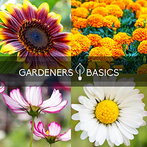 Flower Garden Seeds for Planting Outdoors Flower Seeds (5 Variety Pack) Daisy, Marigold, Cosmos, Sunflower, Zinnia Varieties for Bees, Pollinators Wildflower Seed by Gardeners Basics