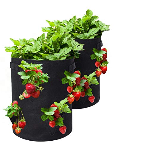 TENOVER Strawberry Grow Bags, 2 Pack 10 Gallon Strawberry Planter with 8 Side Grow Pockets, Breathable Non-Woven Fabric Reinforce Handle Plant Grow Bag for Garden Strawberries, Herbs, Flowers