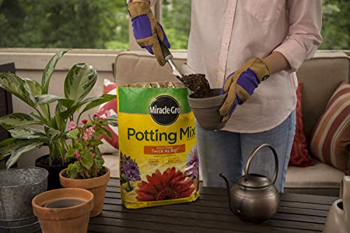 Miracle-Gro Potting Mix, 8 qt. (2 Pack)