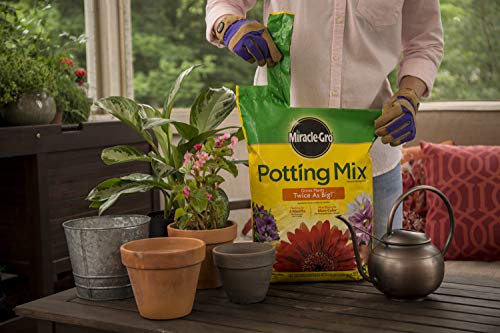 Miracle-Gro Potting Mix, 8 qt. (2 Pack)