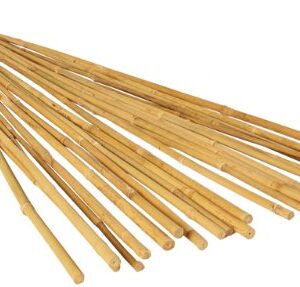 GROW!T Hydrofarm HGBB2 2' Natural Bamboo Stake, Pack of 25, Tan