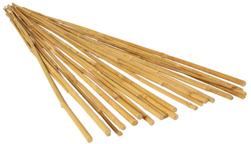 GROW!T Hydrofarm HGBB2 2' Natural Bamboo Stake, Pack of 25, Tan