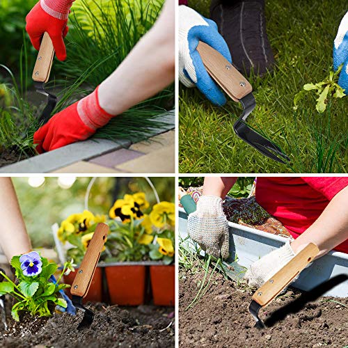 Amble Weeder Hand Puller Tool for Garden Caring to Remove Dandelions Thistles and Weeds